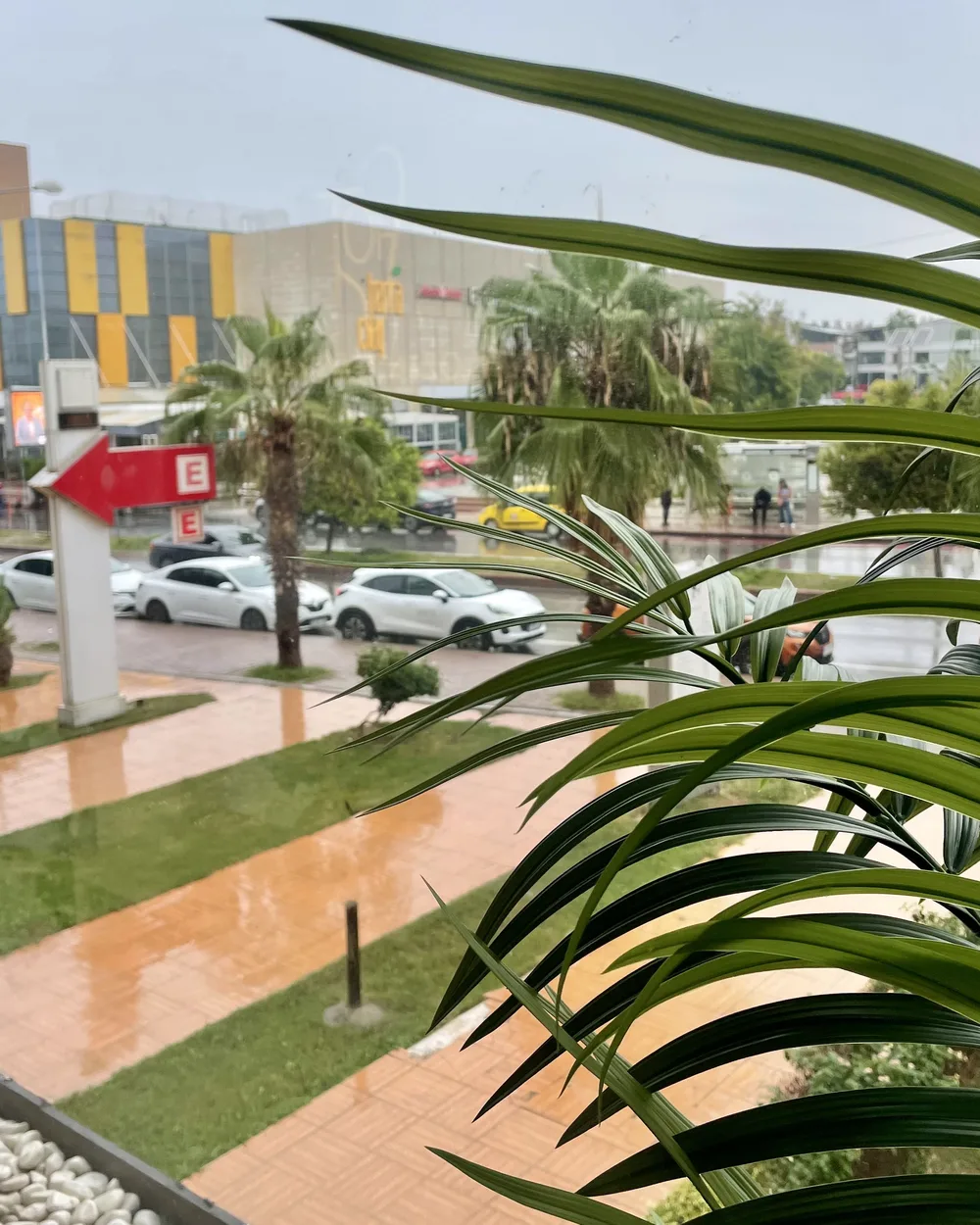 Muayenehane penceresinden cadde görünümü